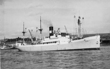 Jelo-02.jpg