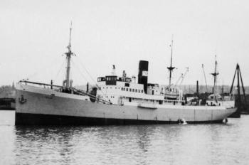 Jelo-01.jpg