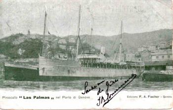 las palmas.jpg