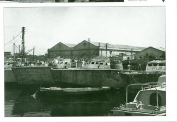 scansione0004.jpg
