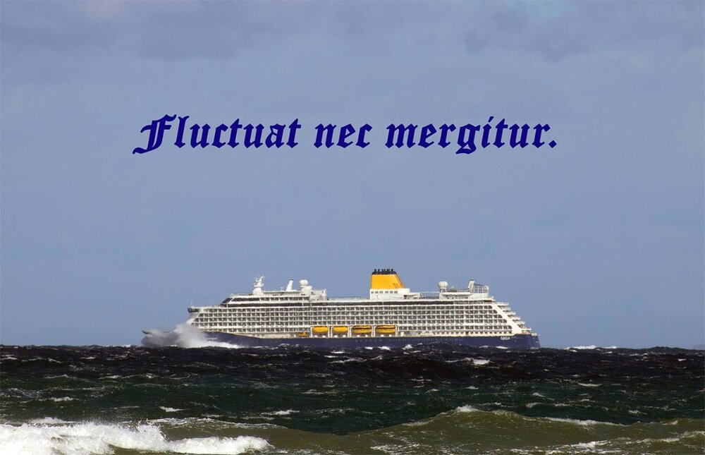IMG_4441_Fluctuat.thumb.jpg.8272a893f81cc103cec64fdc6029e0c0.jpg