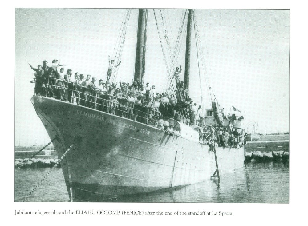 scansione0048.jpg