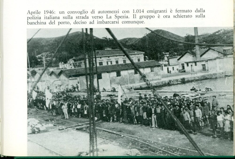 scansione0064.jpg