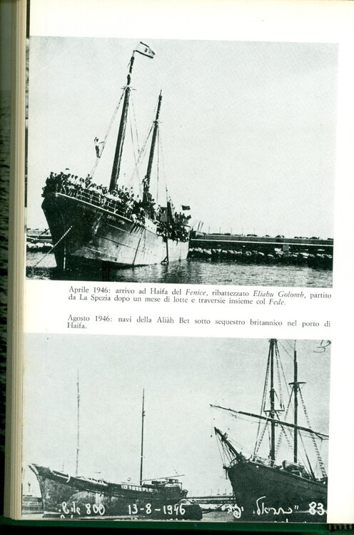 scansione0065.jpg