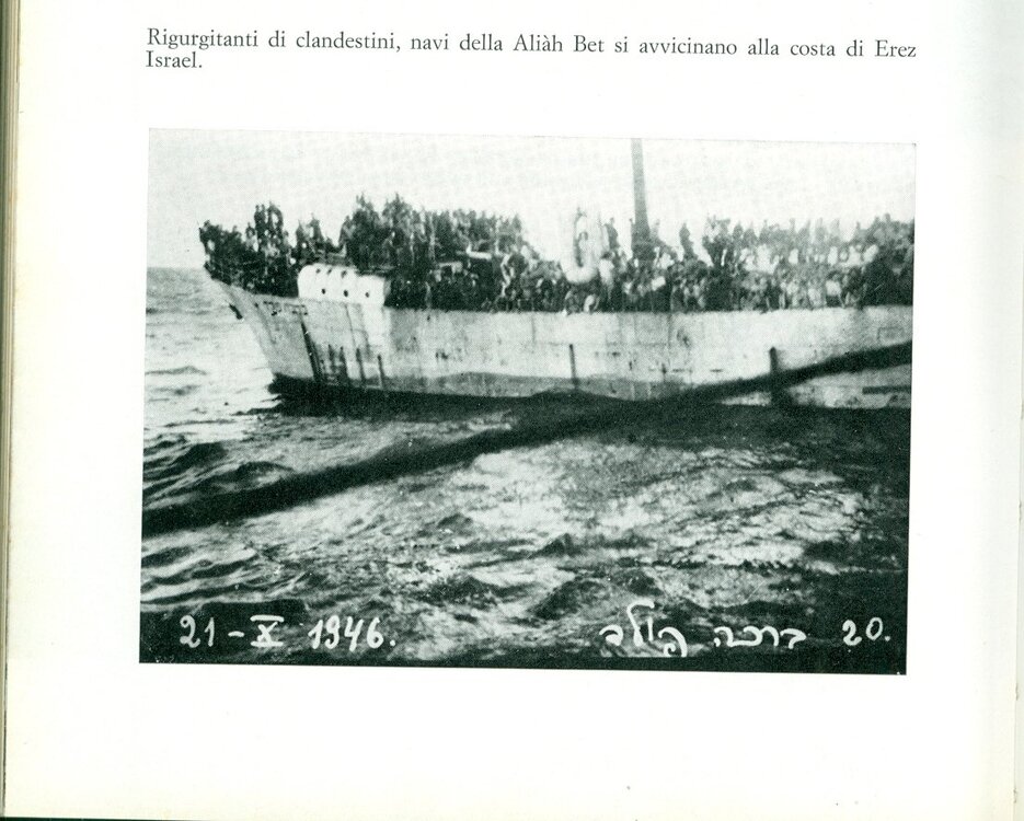 scansione0066.jpg